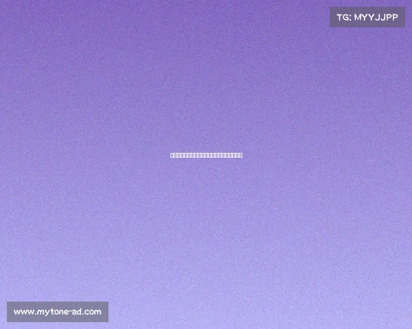 网球赛场背后的不为人知的故事与辛勤付出揭秘