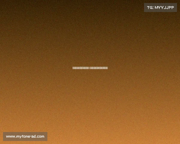 斯图加特队的崛起与挑战 德甲联赛中的新兴力量分析